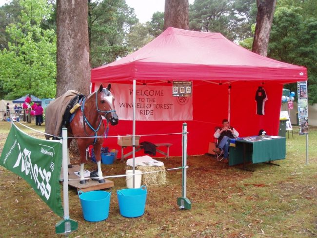 2012 Iris fair ready for business