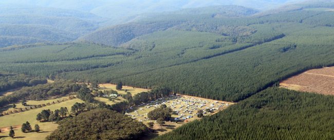 aerial – cropped 2 (003)