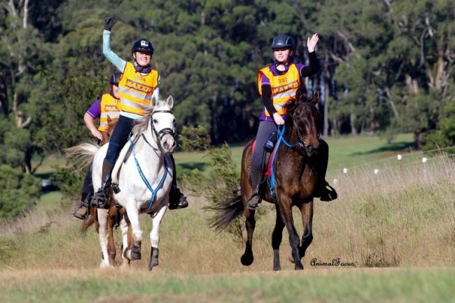 Riders at the 2017 Maxxis Wingello Forest Endurance Ride