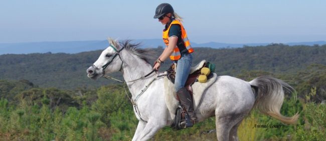April Newman riding Jon De Le Hanna in the 80km
