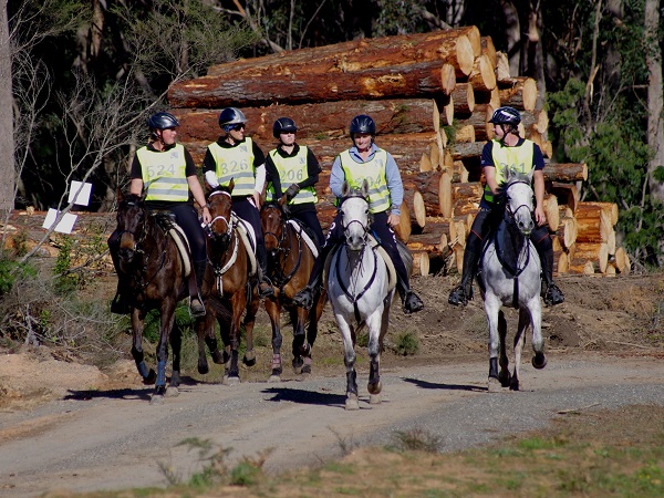 The Al Jeda team in the 80km – photo by Jo Arblaster