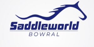 saddleworld saddleworld