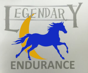 legendary logo blue yellow legendary logo blue yellow