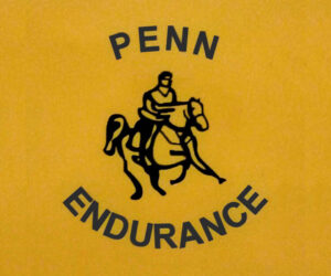Penn Endurance - wide Penn Endurance - wide